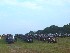 Muster Field